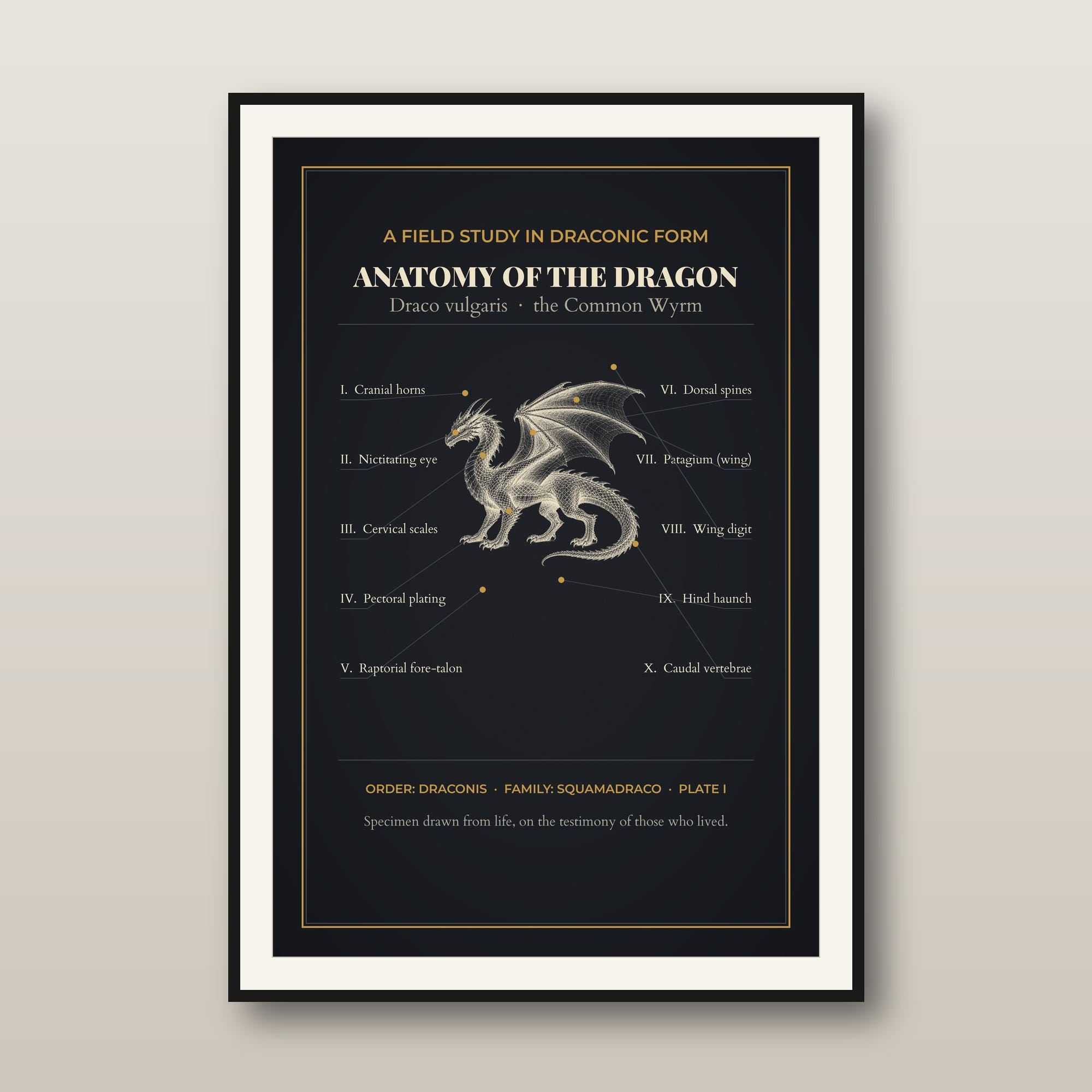Dragon Anatomy Chart Print - DnD Wall Art - Vintage Dragon Diagram - Bestiary Poster - Dungeon Master Gift - Instant Download — DnD Wall Art - Vintage Dragon Diagram - Bestiary Poster - Dungeon Master Gift -
